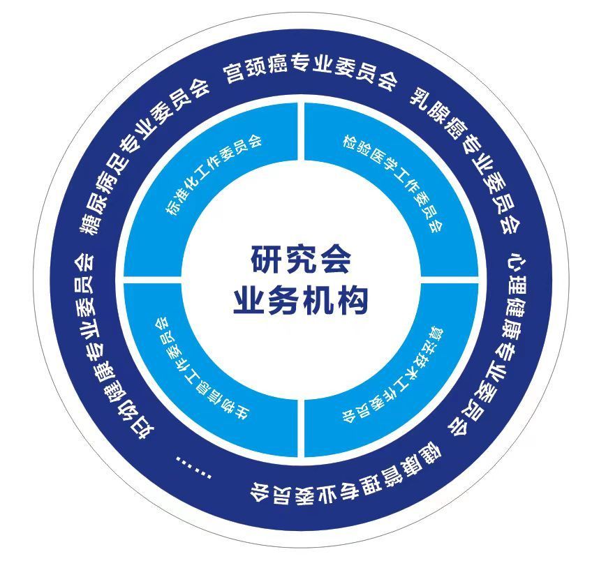2-231124205R51L.jpg